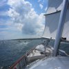 Onboard &raquo; Onboard Maltese Falcom